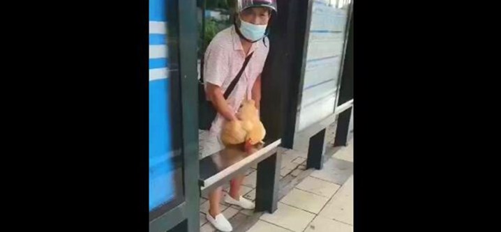 @20208937054 用户上传：街上拿鸡来操被人发现 表情非常的尴尬︱T